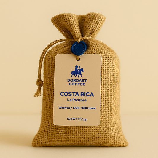 Costa Rica La Pastora Washed